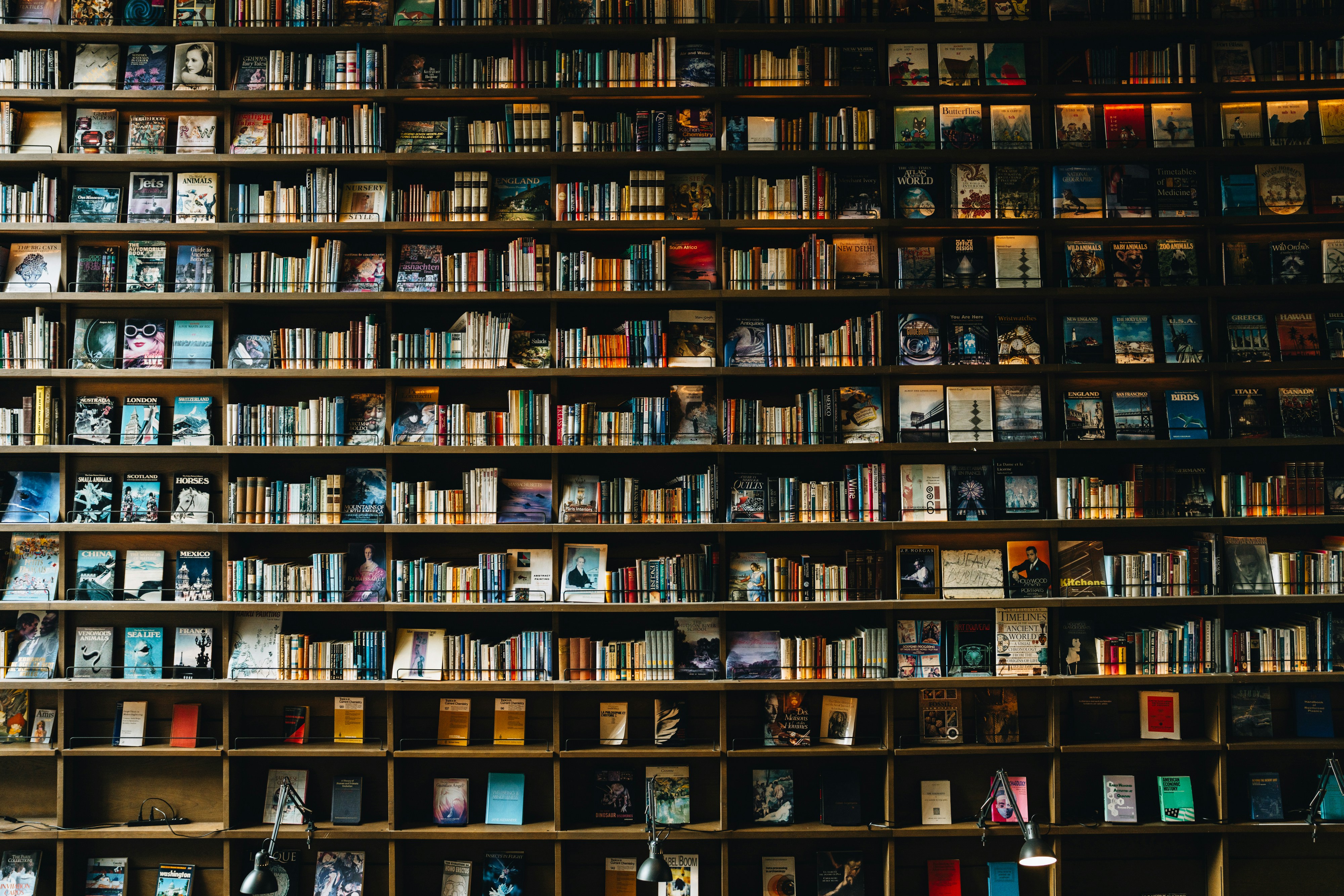 Wall of books